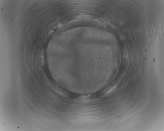 X0000079290080200612151713