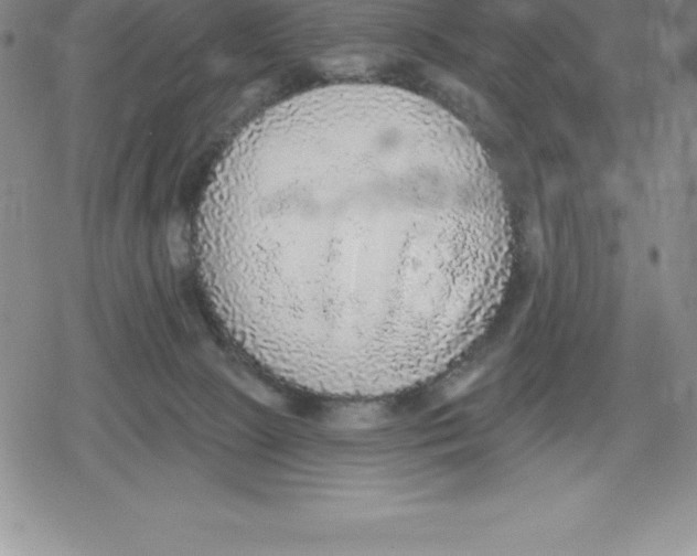 X0000079290081200612151713