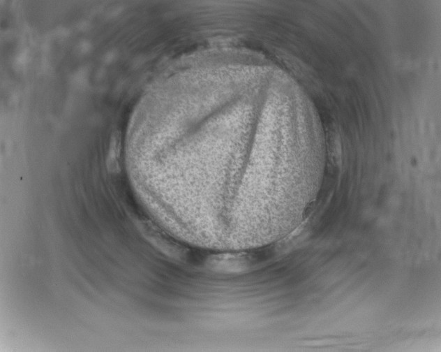 X0000079290082200612151713