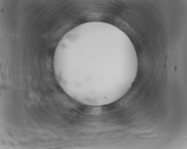 X0000079290083200612151713