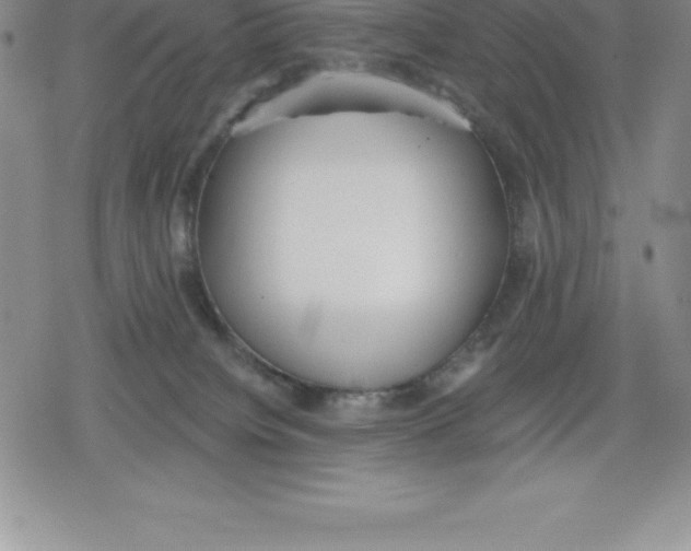 X0000079290084200612151713