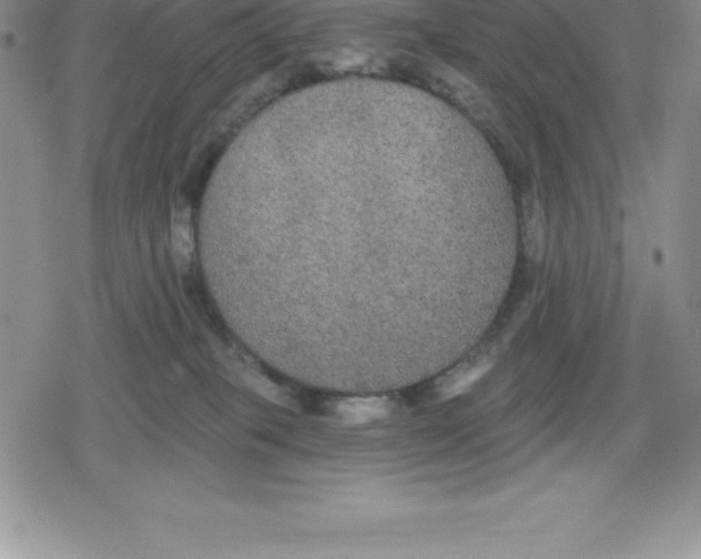 X0000079290085200612151713