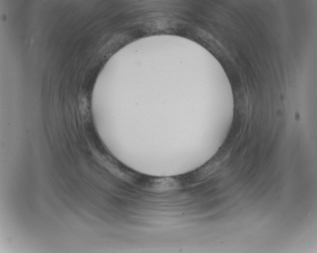 X0000079290087200612151713