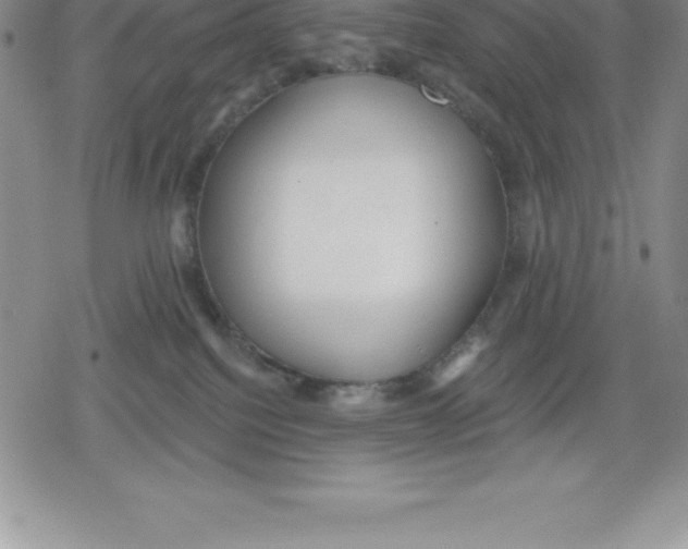 X0000079290088200612151713