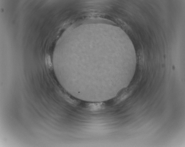 X0000079290089200612151713