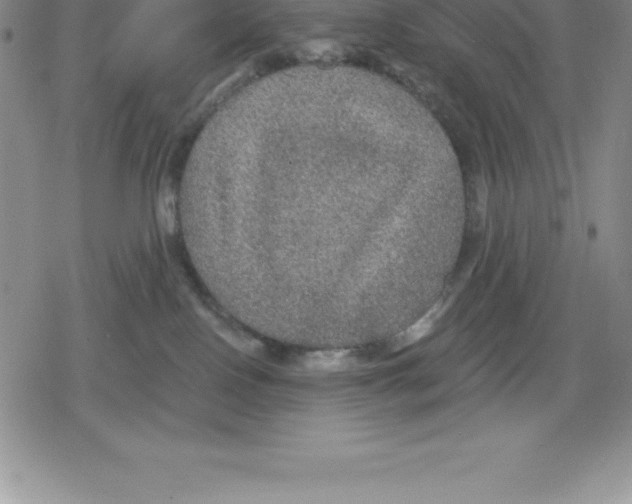 X0000079290090200612151713