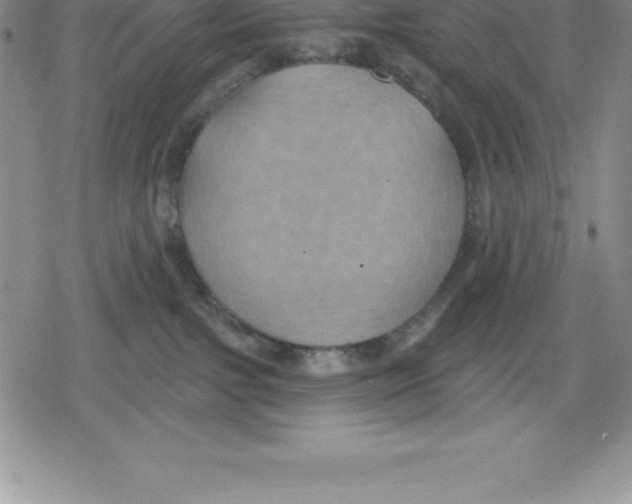 X0000079290091200612151713