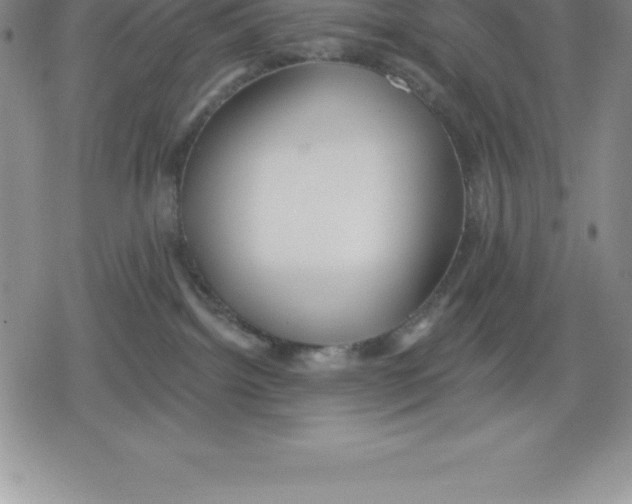 X0000079290092200612151713