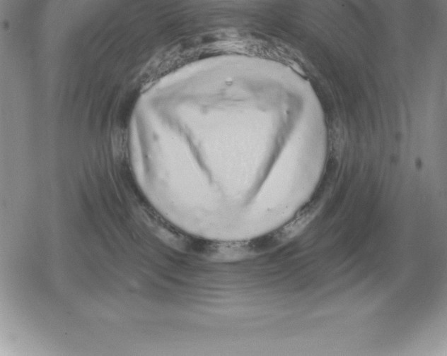 X0000079290093200612151713