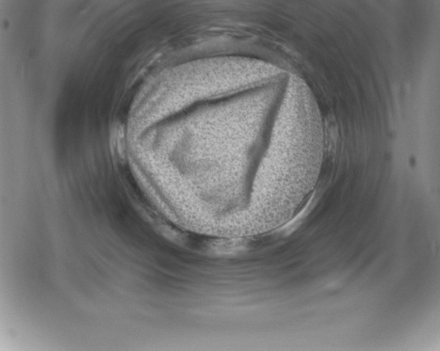 X0000079290094200612151713