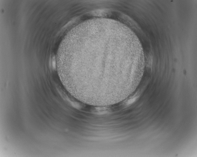 X0000079290095200612151713