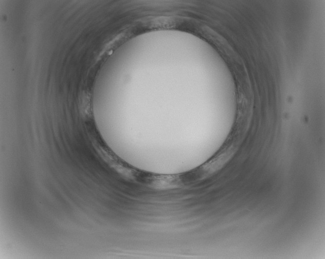 X0000079290096200612151713