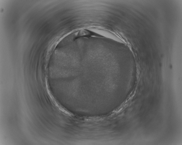 X0000079290097200612151712