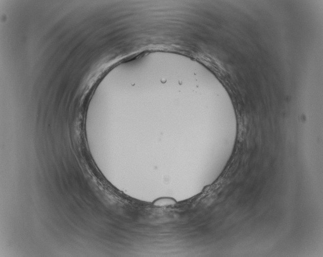 X0000079290098200612151712