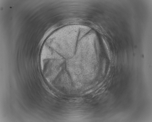 X0000079290099200612151712