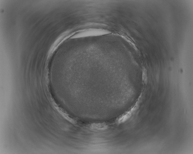 X0000079290101200612151712