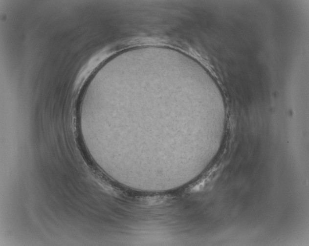 X0000079290103200612151712