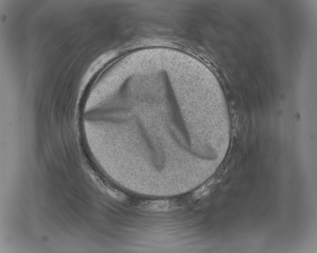 X0000079290104200612151712