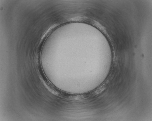 X0000079290106200612151712