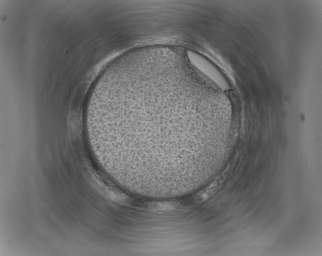 X0000079290107200612151712