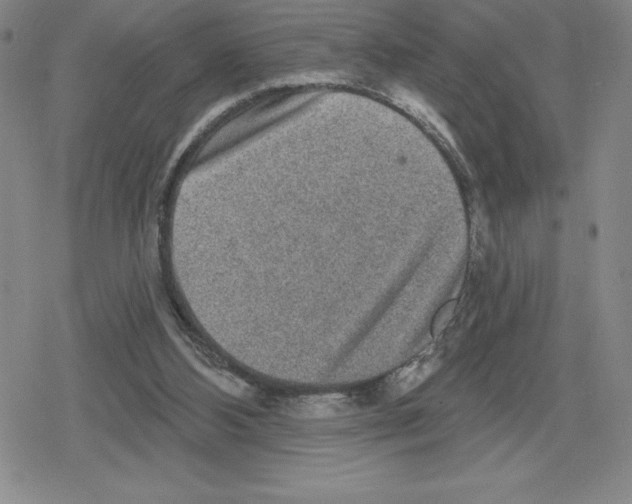 X0000079290108200612151712