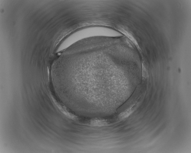 X0000079290109200612151712