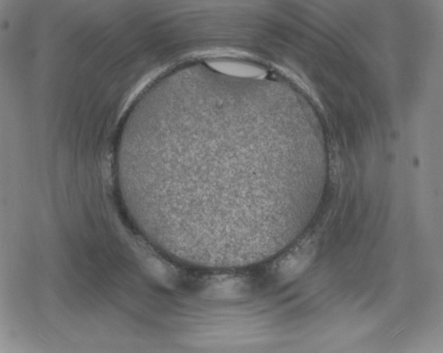 X0000079290111200612151712