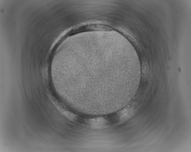 X0000079290112200612151712