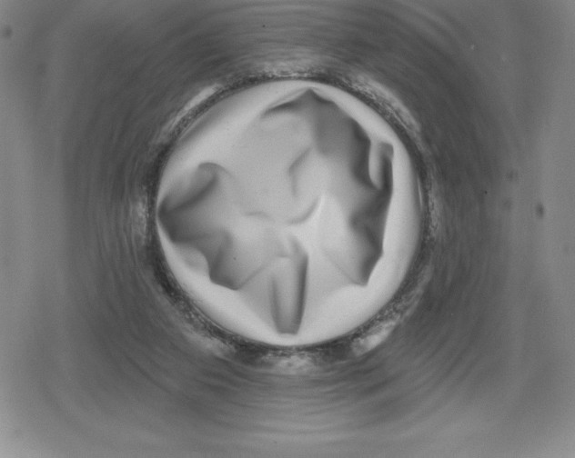 X0000079290113200612151712