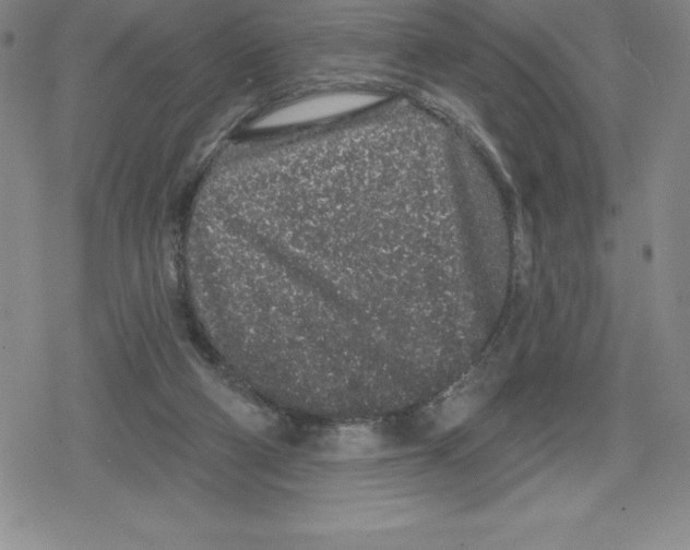 X0000079290114200612151712