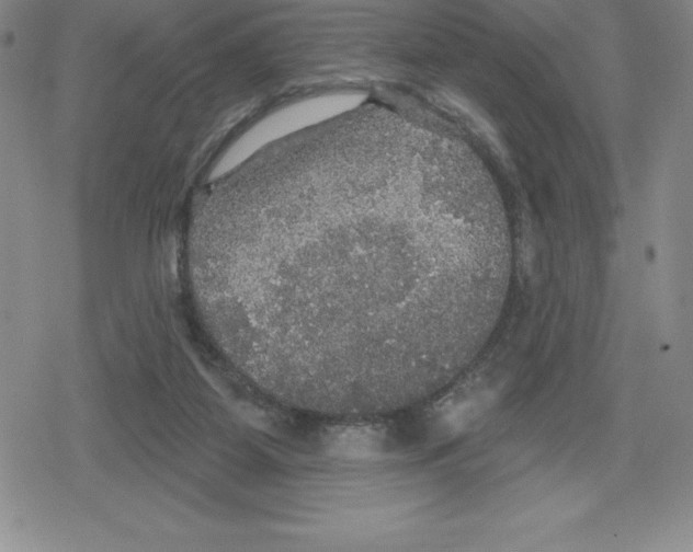 X0000079290115200612151712