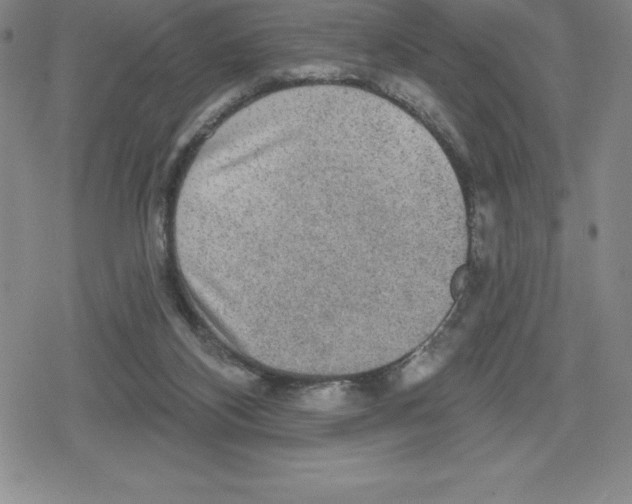 X0000079290116200612151712