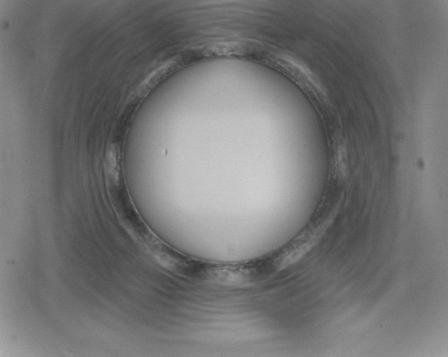 X0000079290121200612151712