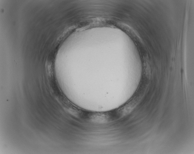 X0000079290123200612151712