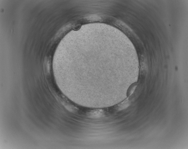 X0000079290124200612151712