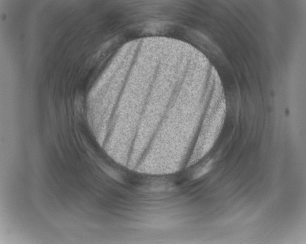 X0000079290127200612151711