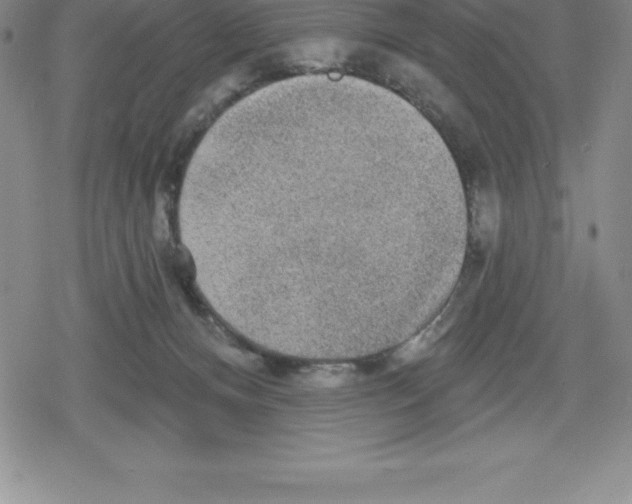 X0000079290128200612151711