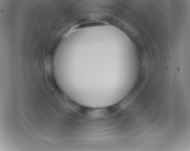 X0000079290129200612151711