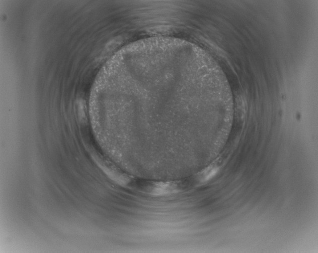 X0000079290130200612151711