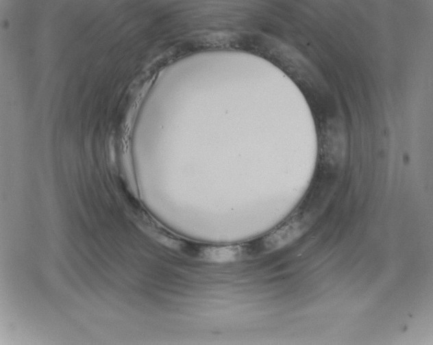 X0000079290131200612151711