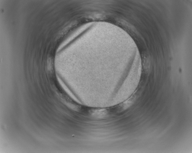 X0000079290132200612151711