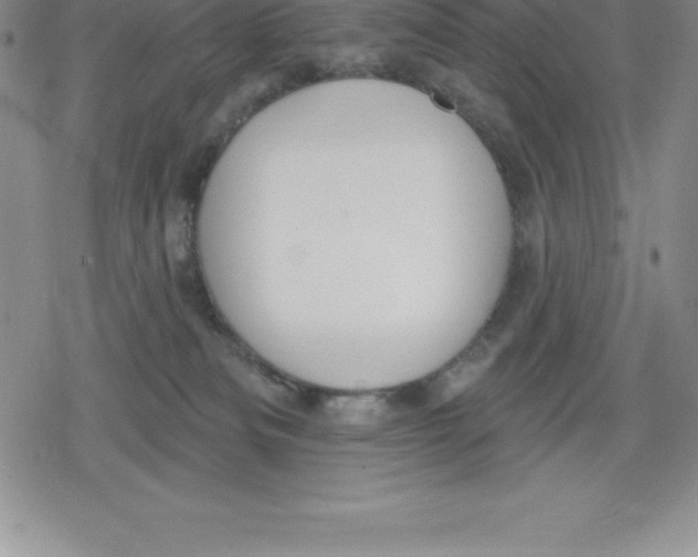 X0000079290133200612151711