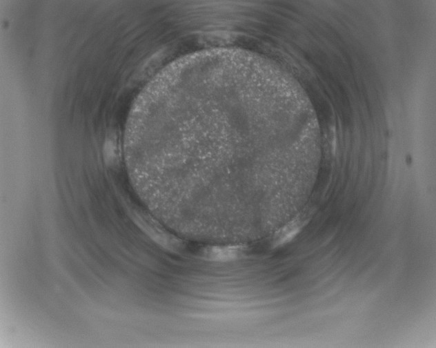 X0000079290134200612151711