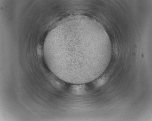 X0000079290135200612151711