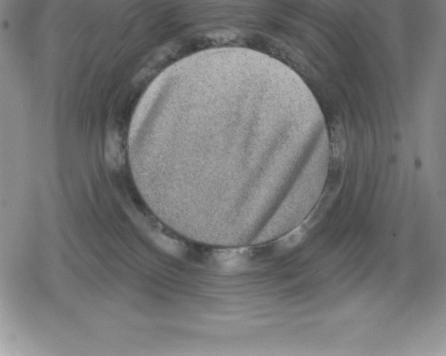 X0000079290136200612151711