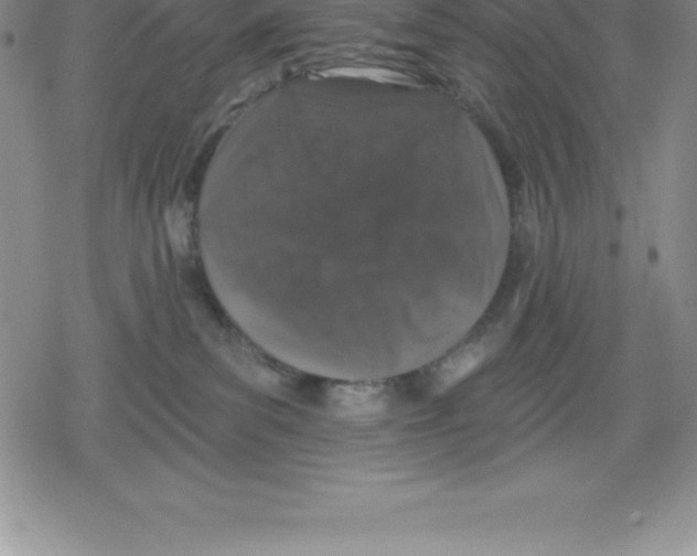 X0000079290139200612151711