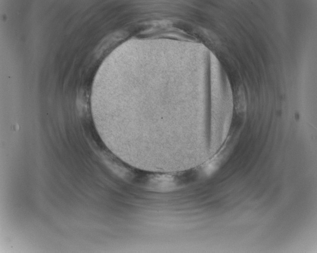 X0000079290140200612151711