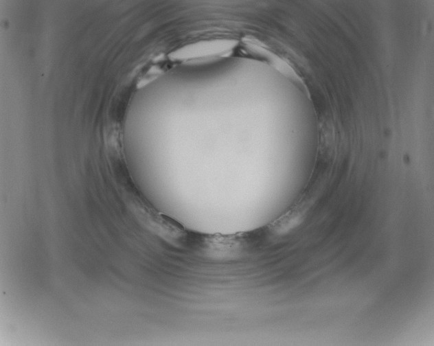 X0000079290141200612151711