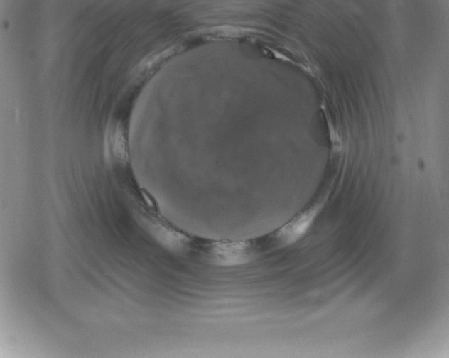 X0000079290143200612151711