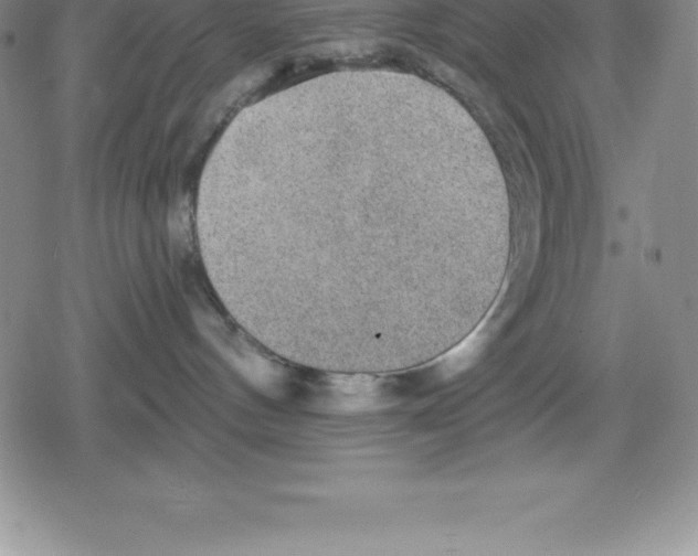 X0000079290144200612151711